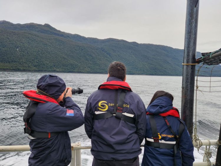 Sernapesca activa fiscalización en el Lago Llanquihue tras alertas ciudadanas por presunto escape de peces