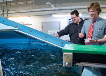 Universidad lanza centro de acuicultura para potenciar cultivo de salmón en EE.UU