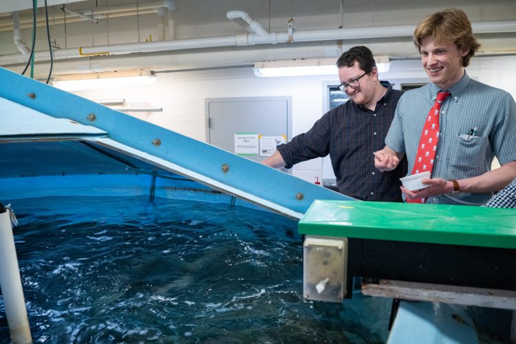 Universidad lanza centro de acuicultura para potenciar cultivo de salmón en EE.UU