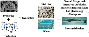 El potencial de probióticos, prebióticos y simbióticos para fortalecer la salud de peces y reducir uso de antibióticos
