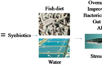El potencial de probióticos, prebióticos y simbióticos para fortalecer la salud de peces y reducir uso de antibióticos