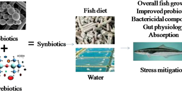 El potencial de probióticos, prebióticos y simbióticos para fortalecer la salud de peces y reducir uso de antibióticos