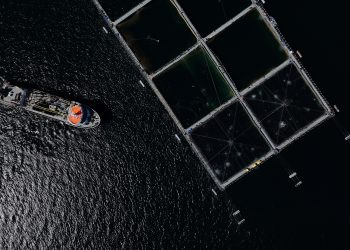 Salmones Camanchaca entra al podio global de sostenibilidad acuícola en ranking internacional FAIRR