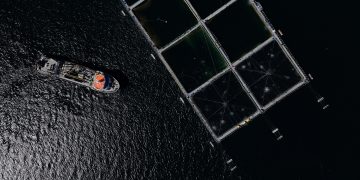Salmones Camanchaca entra al podio global de sostenibilidad acuícola en ranking internacional FAIRR