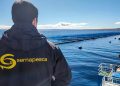 Sernapesca descarta escape de peces en el lago Llanquihue tras fiscalizaciones. Foto: Sernapesca