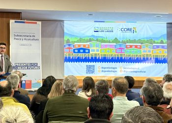 Balance del Diálogo del Borde Costero: El debate que busca corregir las distorsiones de la Ley Lafkenche en el sur austral
