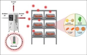 Plasma frío abre nueva alternativa para preservar filetes de salmón Coho sin afectar su calidad