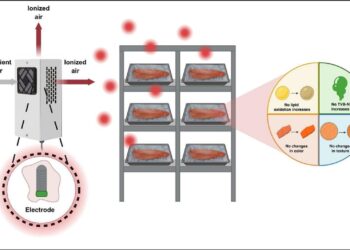 Plasma frío abre nueva alternativa para preservar filetes de salmón Coho sin afectar su calidad