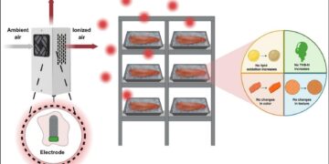 Plasma frío abre nueva alternativa para preservar filetes de salmón Coho sin afectar su calidad
