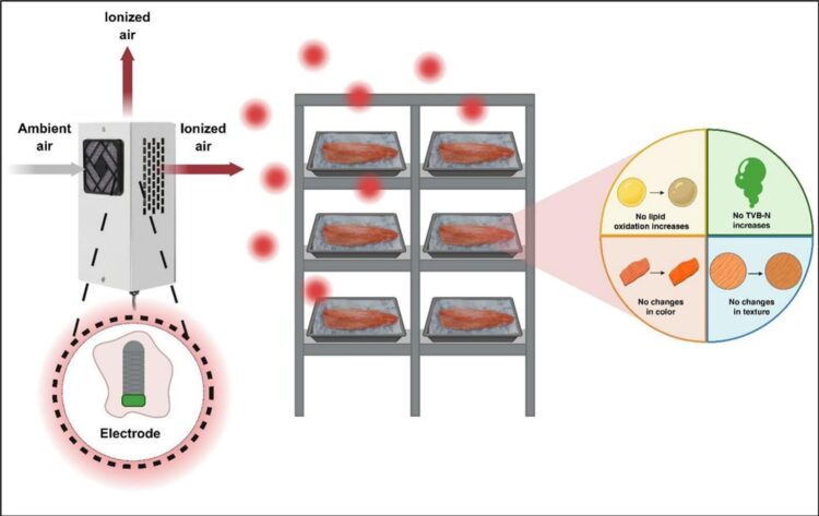 Plasma frío abre nueva alternativa para preservar filetes de salmón Coho sin afectar su calidad