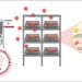 Plasma frío abre nueva alternativa para preservar filetes de salmón Coho sin afectar su calidad