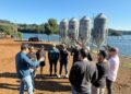 AVHA Group conecta proveedores chilenos con la acuicultura brasileña de tilapia. Foto: AVHA Group