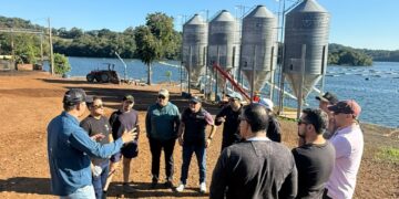 Chile mira la tilapia brasileña: AVHA Group abre ruta para exportar tecnología acuícola al gigante latinoamericano