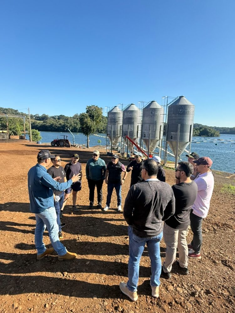 AVHA Group conecta proveedores chilenos con la acuicultura brasileña de tilapia. Foto: AVHA Group