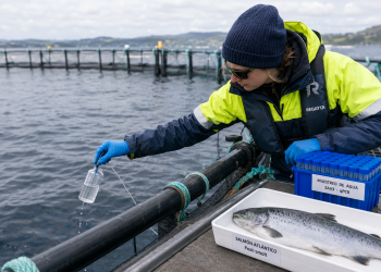 Vacunas contra la Enfermedad del Páncreas demuestran que también frenan la propagación del virus en el mar