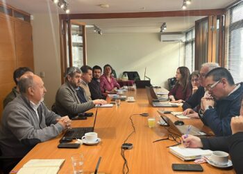 Salmón sostenible en Los Lagos: PTI de Corfo acelera plataforma de proveedores y medición de huella de carbono
