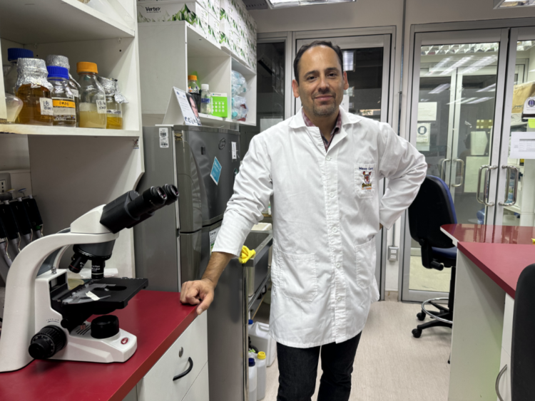 USACh valida vacuna contra el virus PRV-1 con alto potencial de transferencia para la salmonicultura