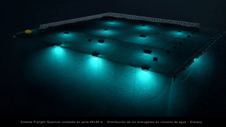 Del smolt al mar: por qué el fotoperiodo puede definir el éxito productivo de un ciclo de engorda