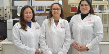 UCSC desarrollará tecnología para remover metales pesados del agua utilizando residuos de la mitilicultura