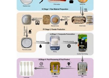 De residuo a innovación: espinas de salmón potencian materiales para impresión 3D