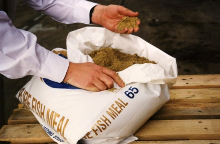 IFFO advierte un complejo escenario complejo para la acuicultura durante junio y julio para el alimento acuícola