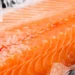Nuevo estudio desafía métricas históricas del omega-3 en salmonicultura