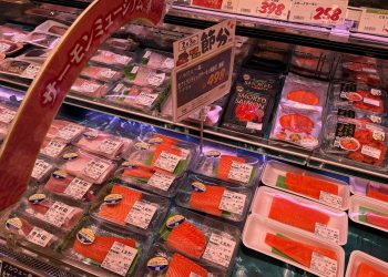 Noruega pierde impulso: Europa y China sostienen el mercado del salmón mientras EE.UU. se desploma