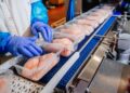 Packaging sostenible: el aliado del futuro para alimentar al mundo con responsabilidad