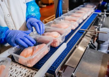 Packaging sostenible: el aliado del futuro para alimentar al mundo con responsabilidad