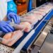 Packaging sostenible: el aliado del futuro para alimentar al mundo con responsabilidad
