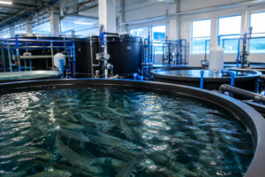 Biofiltros: el “corazón microbiano” de los sistemas RAS podría estar moldeando la salud de los salmones