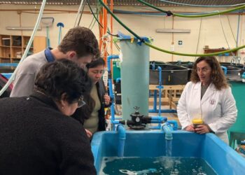 Tecnología Biofloc proyecta nuevas aplicaciones para hatcheries y sistemas RAS en salmonicultura