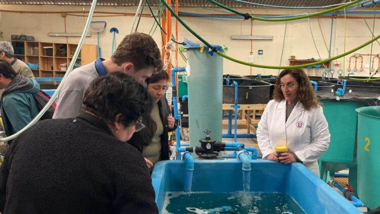 Tecnología Biofloc proyecta nuevas aplicaciones para hatcheries y sistemas RAS en salmonicultura
