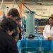 Tecnología Biofloc proyecta nuevas aplicaciones para hatcheries y sistemas RAS en salmonicultura