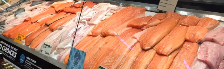 Precio spot del salmón inicia ajuste estacional mientras China acelera su demanda por producto noruego