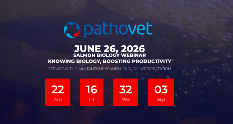 Pathovet lanza Salmon Biology Webinar 2026 sobre productividad salmonera.