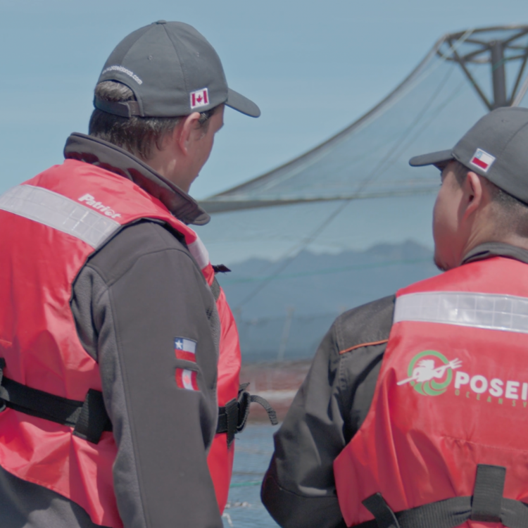 Poseidon refuerza su soporte vital para la salmonicultura chilena con nuevas líneas de aireación y oxigenación