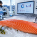 Salmón chileno sin humo: la ciencia responde a los mitos sobre hormonas, antibióticos y nutrición