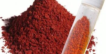 ¿El fin de la astaxantina tradicional? Millonaria apuesta impulsa una tecnología que podría cambiar la salmonicultura