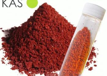 ¿El fin de la astaxantina tradicional? Millonaria apuesta impulsa una tecnología que podría cambiar la salmonicultura