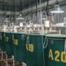 AquaBounty vuelve a captar capital tras su colapso: recauda US$2,25 millones mientras busca redefinir su futuro