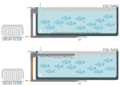 Fig. 1. Representación esquemática de los dos principios de eliminación de sólidos analizados en este estudio: (A) Tratamiento de control: utiliza la sedimentación, un método tradicional
en la acuicultura comercial. Los sólidos se depositan en un foso central situado en el fondo y se drenan dos veces al día hacia un filtro de tambor. (B) Tratamiento «+Cork»: la eliminación
mediante rebosadero se lleva a cabo mediante la integración de tubos de acero inoxidable con ranuras, conectados a una caja de rebosadero situada en la superficie del agua.  Créditos: Estudio.