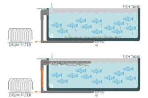 ¿La próxima revolución del RAS? Innovadora dieta con corcho duplica la remoción de sólidos y mejora la calidad del agua
