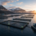 Vista aérea de un centro de cultivo de salmones de alta tecnología en el sur de Chile, representando la modernización técnica y los desafíos de la Megarreforma.