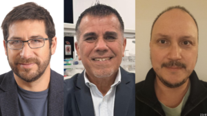 Evidencias para anticipar la tenacibaculosis: inédito estudio chileno identifica factores epidemiológicos de campo que más elevan el riesgo en la salmonicultura