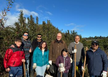 Garware transforma su regalo corporativo en acción climática: 150 árboles capturarán 3,1 toneladas de CO₂ al año