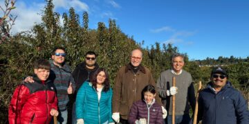 Garware transforma su regalo corporativo en acción climática: 150 árboles capturarán 3,1 toneladas de CO₂ al año