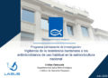 El 60% de los aislados de SRS en mar presentó pérdida de susceptibilidad al florfenicol. Foto: IFOP.