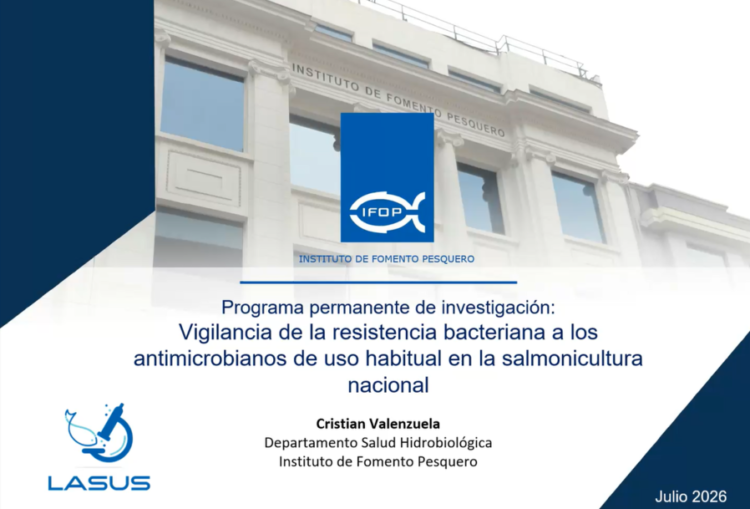 El 60% de los aislados de SRS en mar presentó pérdida de susceptibilidad al florfenicol. Foto: IFOP.