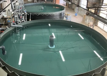 Vista de los estanques de cultivo del proyecto Mirai Salmon, tecnología que la compañía japonesa proyecta llevar a mercados internacionales. Foto: Nichimo Co., Ltd.